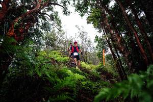 BIB: 
                            <button type="button" onclick="openModal(26203988)" class="btn btn-primary btn-sm float-right btn-popup" data-toggle="modal" data-target=".modal-high-quality">
                        <i class="fas fa-shopping-cart"></i> Add to Cart
                    </button>
                                            <button type="button" onclick="isThisMe(26203988, true)" class="btn btn-success btn-sm float-right btn-popup btn-isme hidden" data-toggle="tooltip" data-placement="bottom" title="นี่คือรูปของคุณใช่ไหม คลิกที่นี่เพื่อเอาเข้าอัลบั้ม">
                        <i class="fas fa-plus"></i> Add to album
                    </button>
                    <button type="button" onclick="isThisMe(26203988, false)" class="btn btn-warning btn-sm float-right btn-popup btn-isnotme hidden">
                        <i class="fas fa-ban"></i> Remove from album
                    </button>